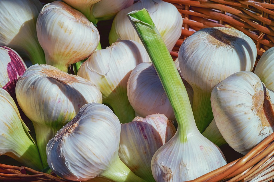 garlic-3471701_960_720.jpg