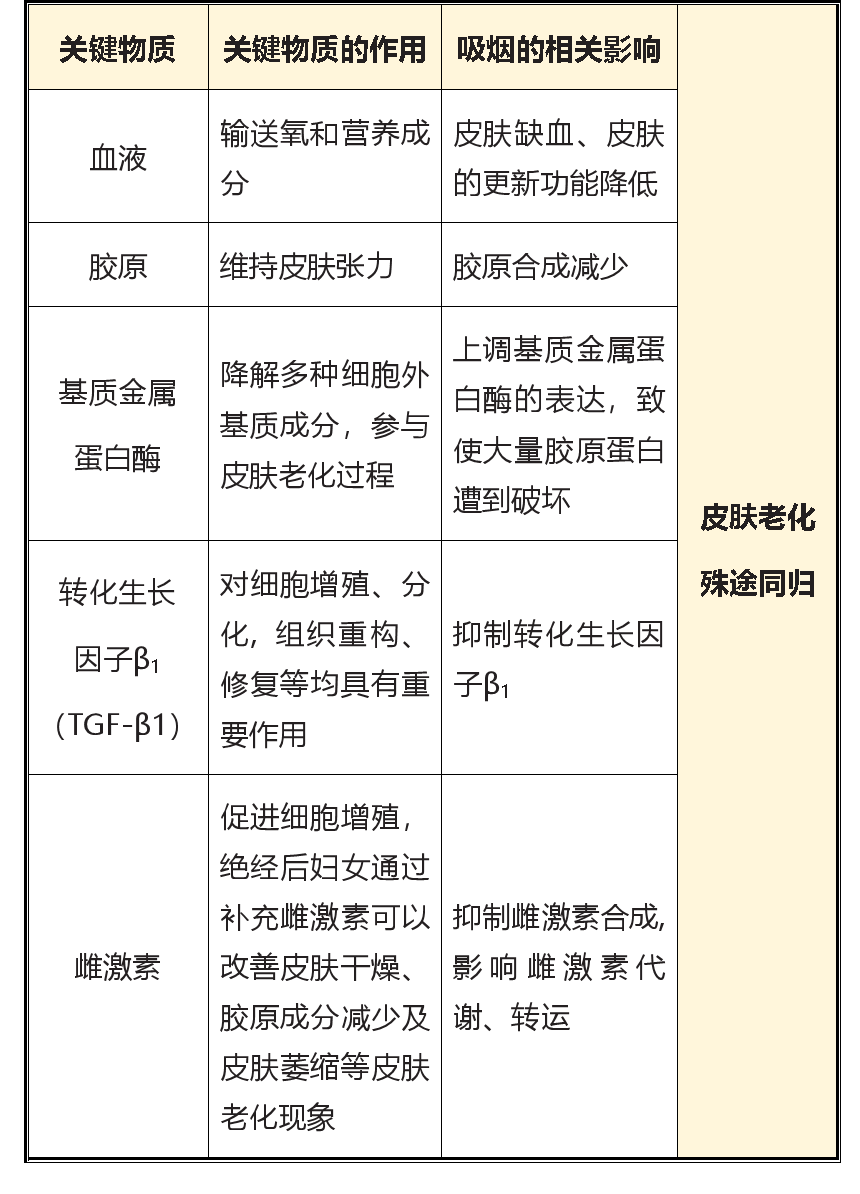 吸烟促使皮肤老化的原理